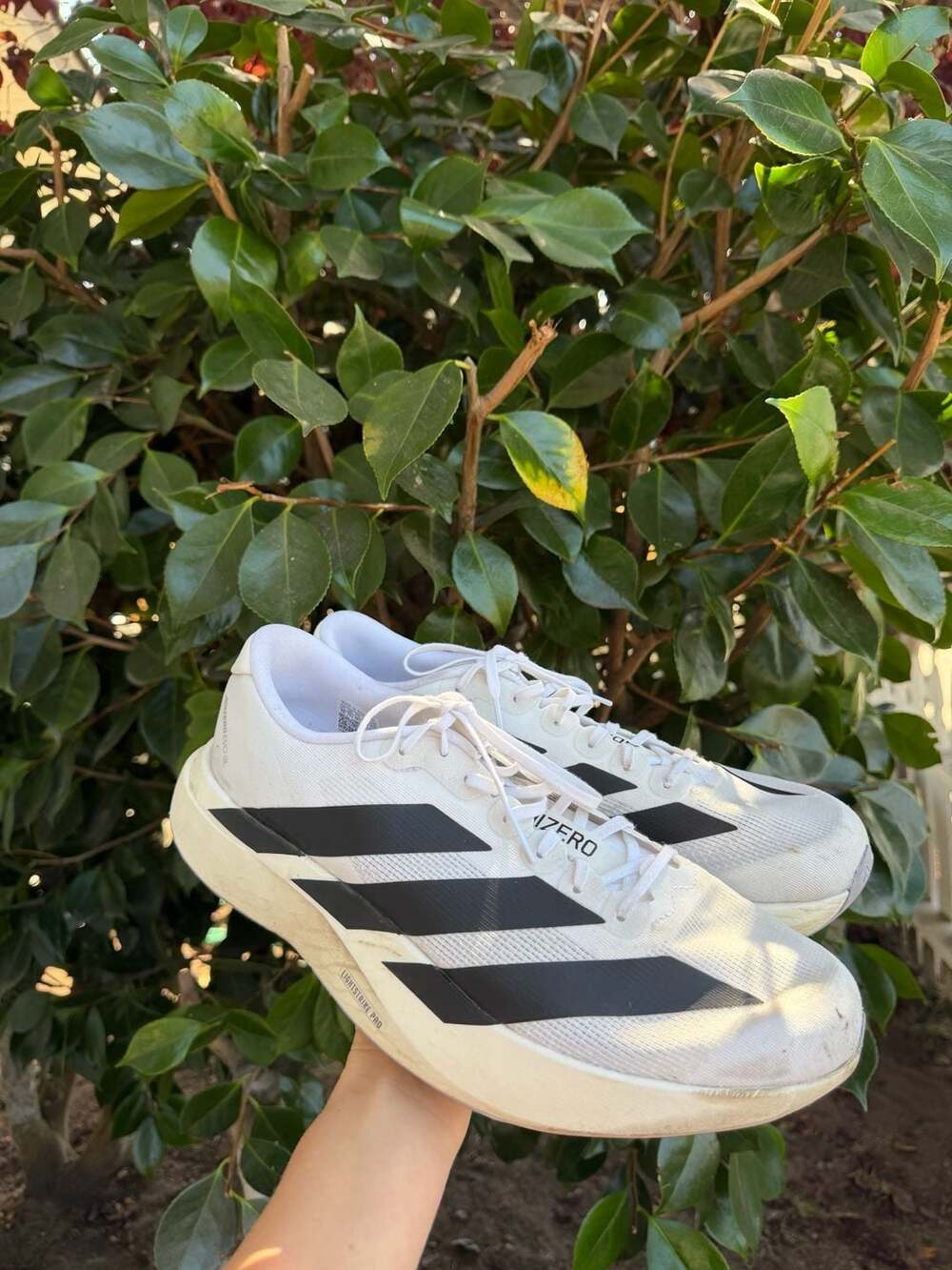 Adidas Adizero Evo SL Running Shoes White Black
